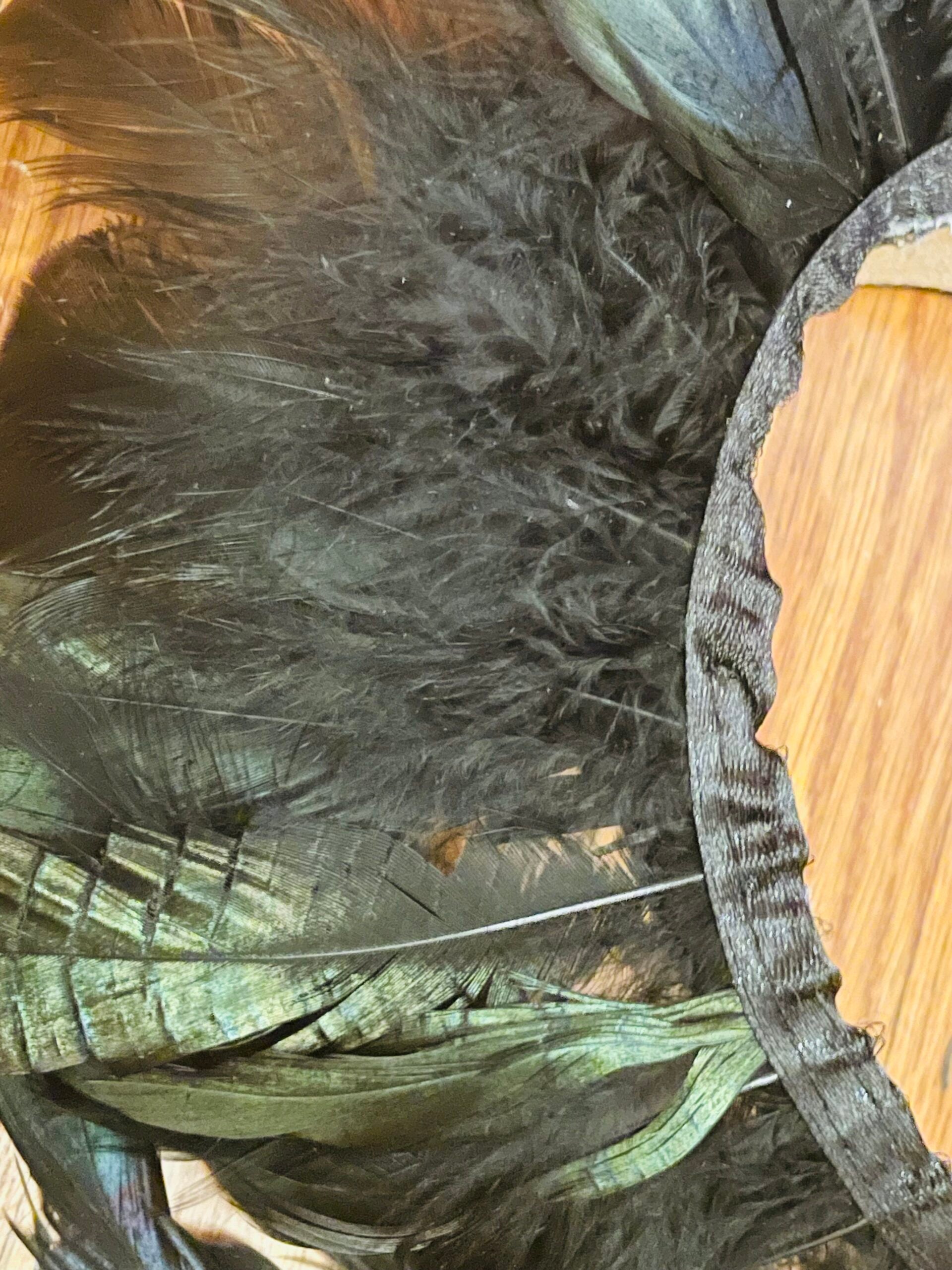 Black Feather Fairy Headband
