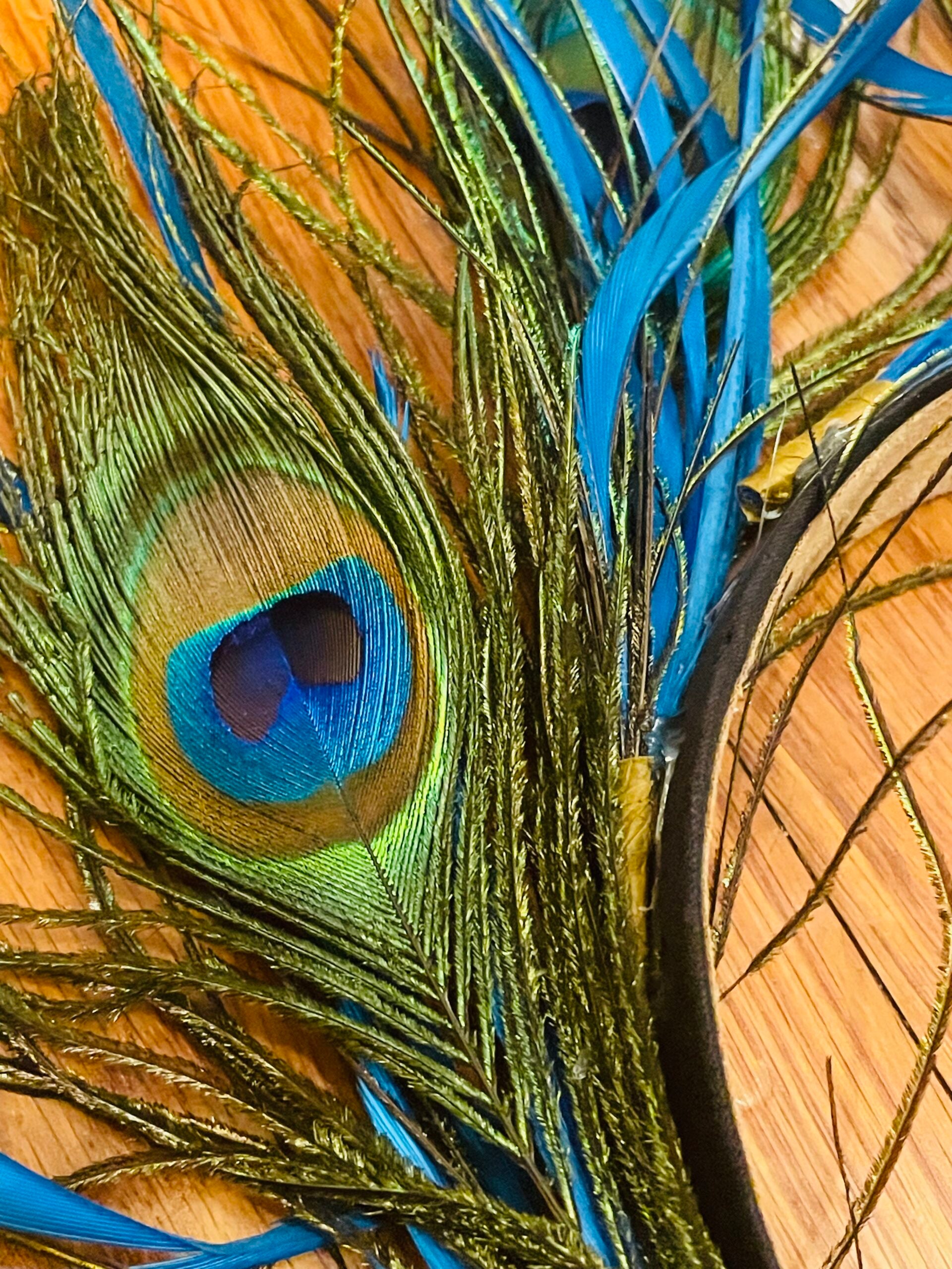 Peacock Feather Fairy Crown